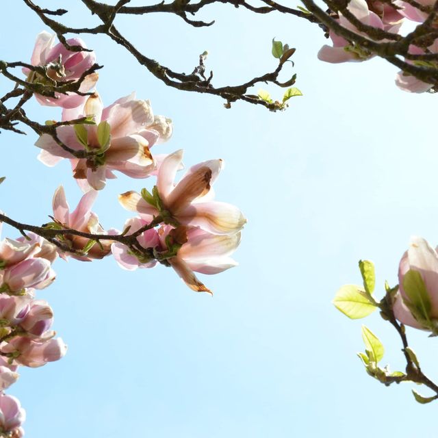 Spring Time in Greifswald… Germany 