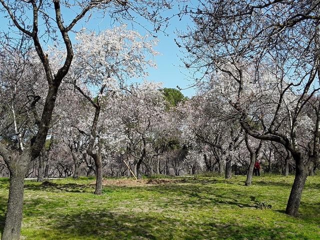 Park de la Quinta de los Molinos 🗺️