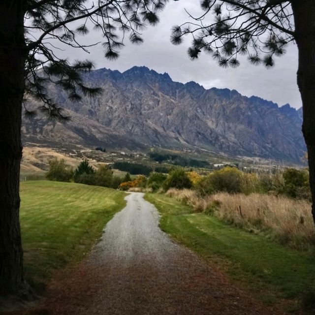 Christmas In Summer | Queenstown 