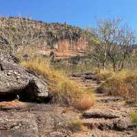 Kakadu National Park 🌳🌴