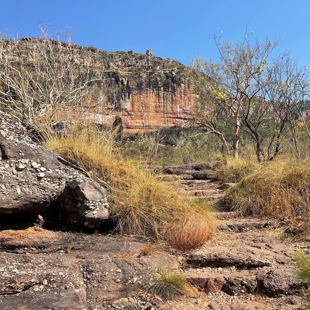 Kakadu National Park 🌳🌴