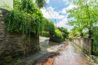 Lush Oasis in Bali