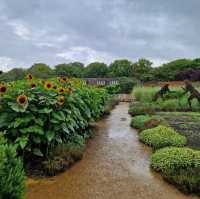 The gardens at Hampton Court