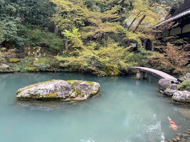 A Day in the Heart of Kyoto