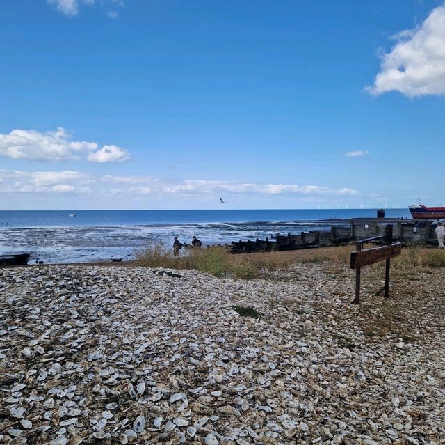 Whitstable's Coastal Charm: Where Oyster Shells Tell Tales