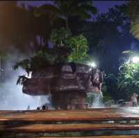 Springs in the jungle 