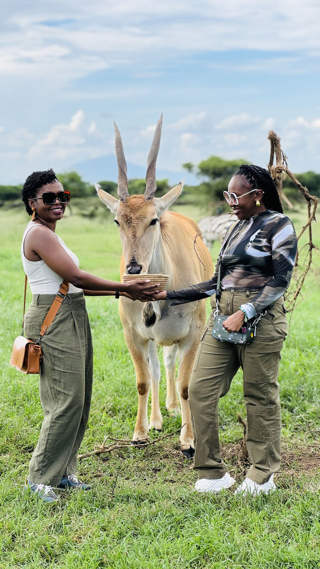 EXPLORE THE ANIMAL SANCTUARY IN TANZANIA