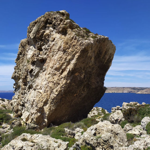 Rocky Coastal Hikes!