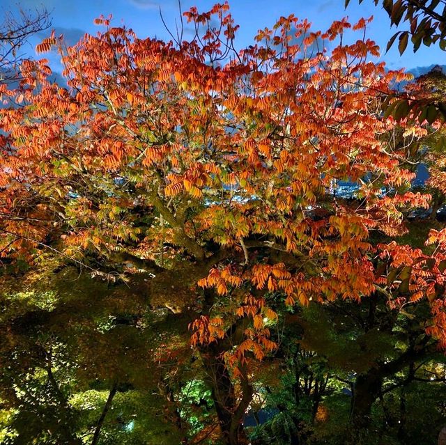 Autumn in Kyoto <3