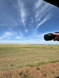 Maasai Mara Safari Tour