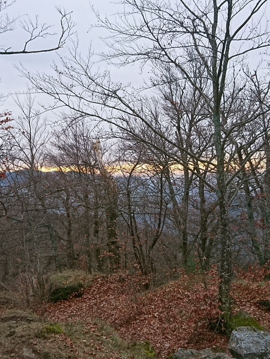 🌿 Exploring the Hills Around Freiburg