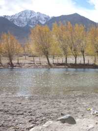 Spituk Monastery: A Spiritual Retreat Near Leh