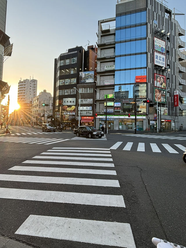 📍東京//一個能從早上玩到深夜的地方