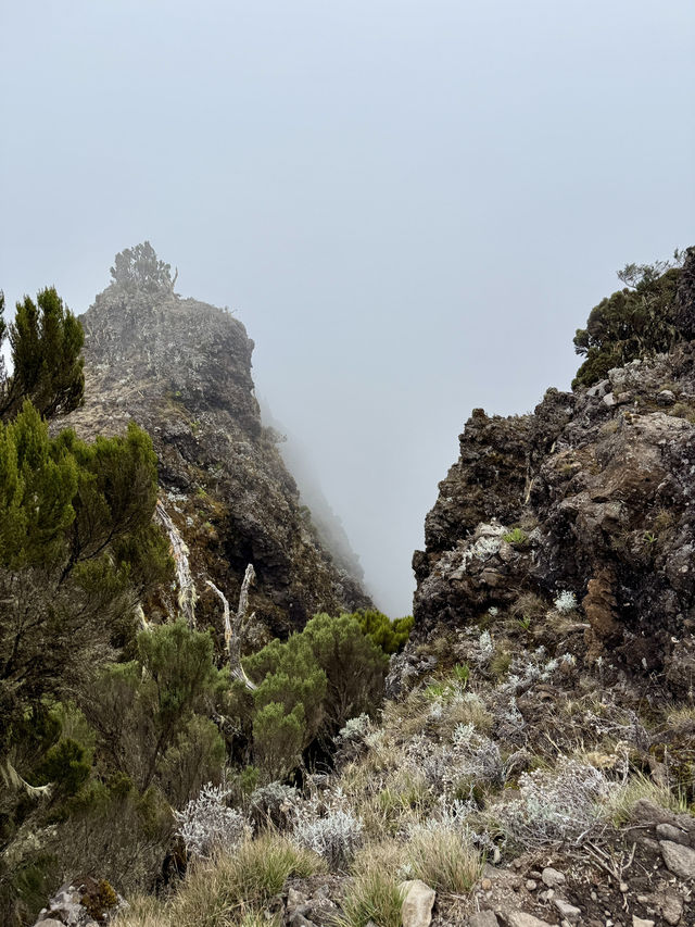 Climbing Mount Kilimanjaro – Shira Cathedral 🗻