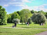 A Perfect Summer Day at Birmingham Airport Viewing Area – A Hidden Gem in Sheldon Country Park