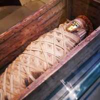 Ashmolean Impressions: Art, Culture, and Discovery in Oxford