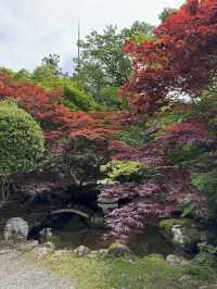 How to spend 2 days in Dorogawa onsen