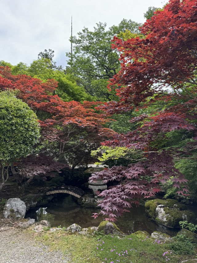 How to spend 2 days in Dorogawa onsen