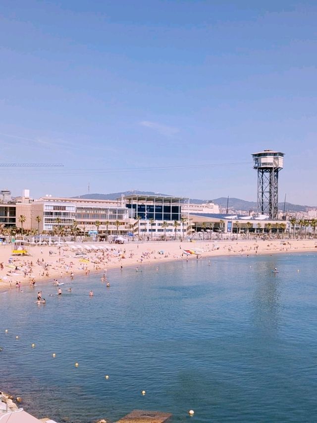 1 Day Trip in Barcelona 🇪🇸