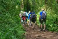 6 Days Kilimanjaro Climbing Group Joining Tour via the Machame Route