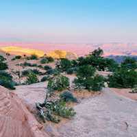 The Mighty 5 in 5 Days: Utah’s Ultimate Road Trip