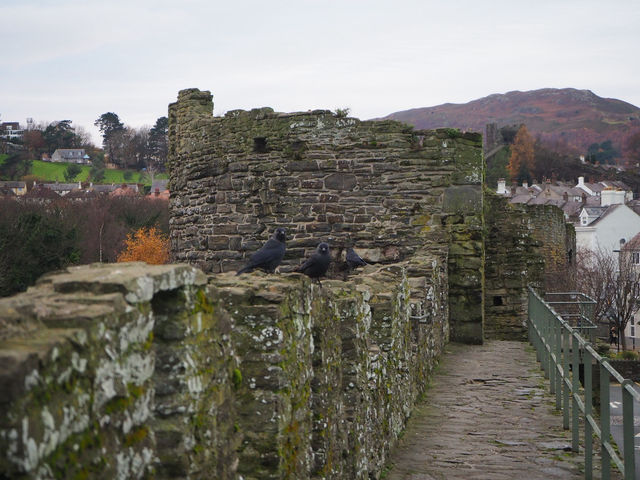 Conwy, a town straight out of a fairytale! 