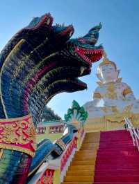 🐊 Wat Paichorake – The Crocodile Temple of Wonder