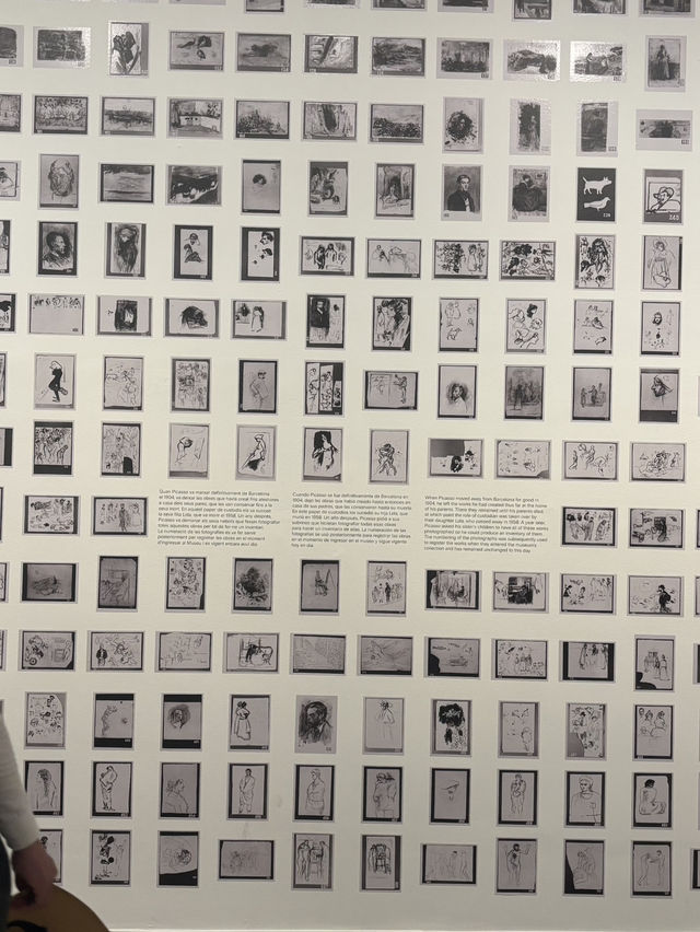 【バルセロナ】🖼️ピカソの原点に出会える場所、ピカソ美術館🎨
