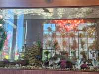 Bishkek’s Turkish Gem – Usta Restaurant Review 🌟🇰🇬🇹🇷