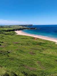 Giants Causeway and the Nothern Irish Coast