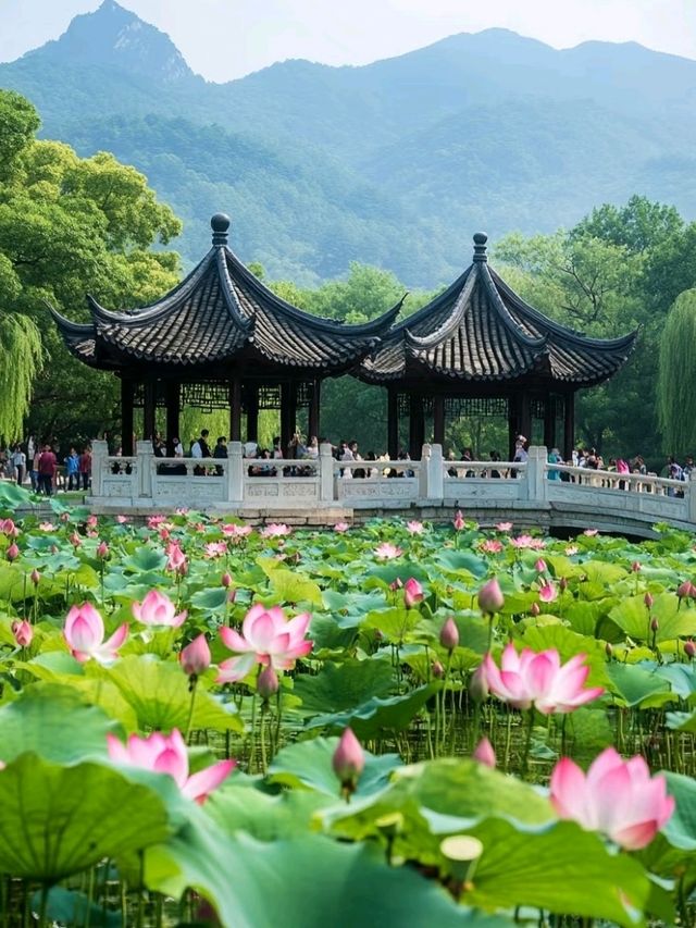 🌿 Summer Palace – An Imperial Garden of Tranquility and Grandeur