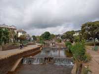 Highlights of my recent visit to Dawlish 