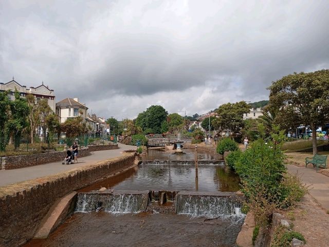 Highlights of my recent visit to Dawlish 