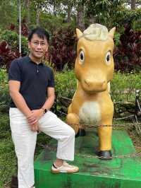 🌿🌸 Baguio’s Hidden Jungle: A Walk Through Botanical Wonder 