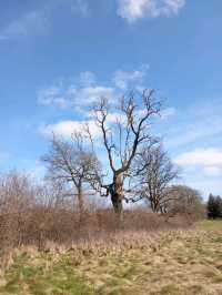 The National Botanic gardens of Wales