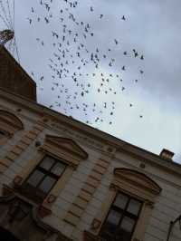 ✈️ Discovering Timișoara: The Cultural Capital of Western Romania