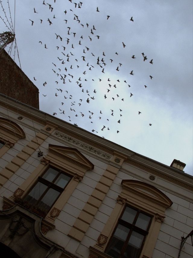 ✈️ Discovering Timișoara: The Cultural Capital of Western Romania