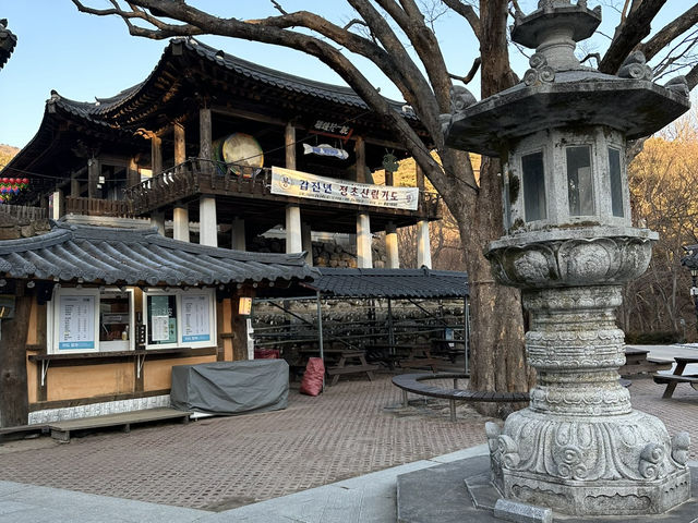 South Korea Itinerary 4: Daegu's Hidden Gem Getaway