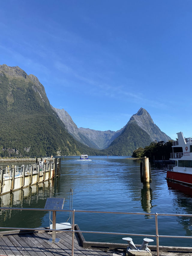 Milford sound 