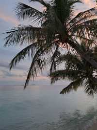 Nika Island Resort: live on the ocean or in the garden what will you choose?