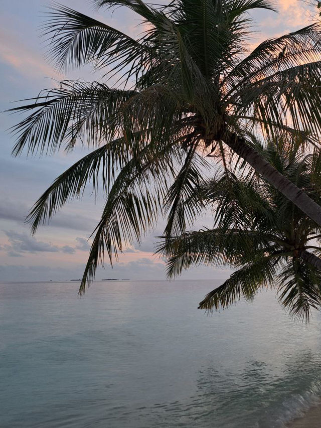 Nika Island Resort: live on the ocean or in the garden what will you choose?
