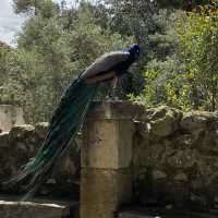 2–3 Days in Lisbon – Hills, History & Coastal Charm