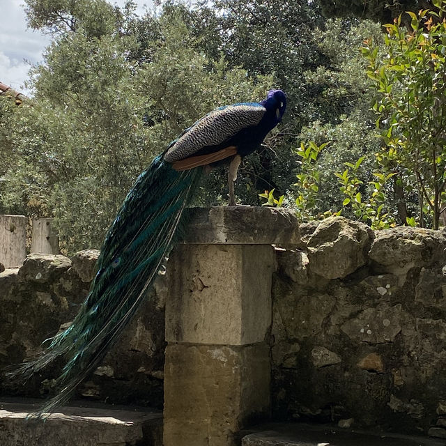 2–3 Days in Lisbon – Hills, History & Coastal Charm