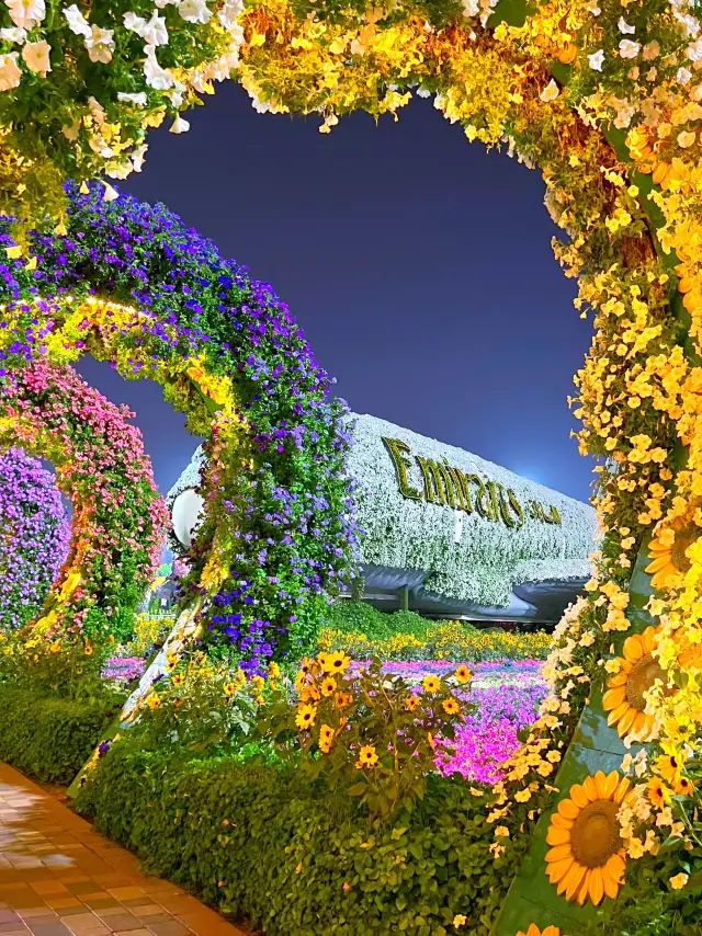 迪拜奇蹟花園:值得一遊嗎?