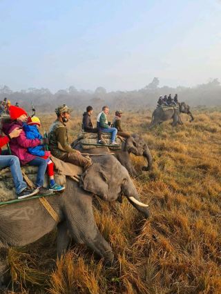 แรดนอเดียวแห่งอินเดีย: ยักษ์ใหญ่แห่งคาซิรังกา 🦏🇮🇳