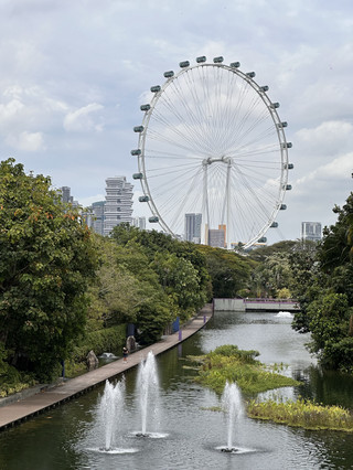 Gardens by the Bay: Essential Tips for Your Visit
