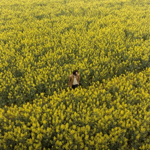 Luoping flowers