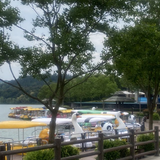 Nanjing Ginkgo Lake park 