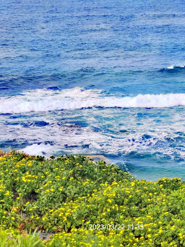 Newcastle and Bar Beach