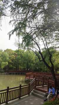 Pudong Jinqiao Park, the backyard of nearby residents, 30.